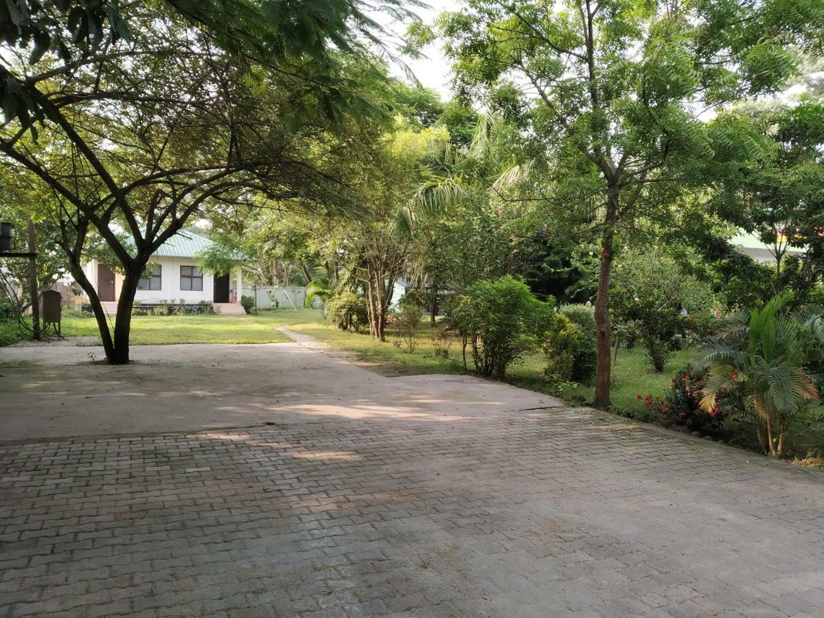 Green Ashiyana Palace Jakhalabandha Exterior foto